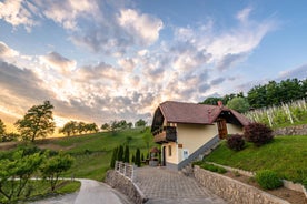 Vineyard Cottage Krivic