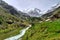 Pfyn-Finges Nature Park, Salgesch, Leuk, Valais/Wallis, Switzerland