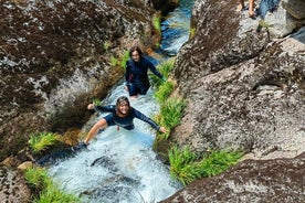 Vannvandring i laguner og fossefall