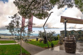 Tour della fontana del vino da Capodistria