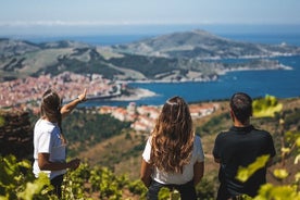 Vaellus viinitarhoilla Banyuls-sur-Merissä