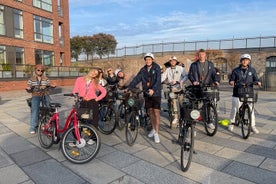 3 hour Copenhagen Combined Food and Guided E-Bike Tour