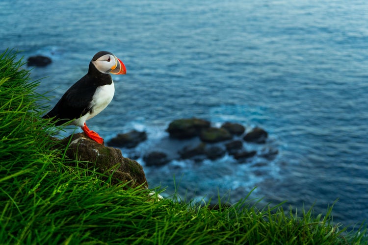 shutterstock_545034850-min.jpg
