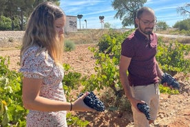 Escursione Utiel-Requena: scopri i sapori del vino di Valencia