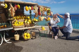 Privétour van een hele dag - Positano Amalfi Ravello of Sorrento