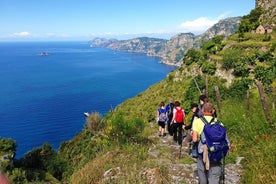 Excursion privée d’une demi-journée : le Chemin des Dieux de la côte amalfitaine. Randonnée avec déjeuner