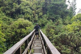 Einkagönguferð meðfram Levada