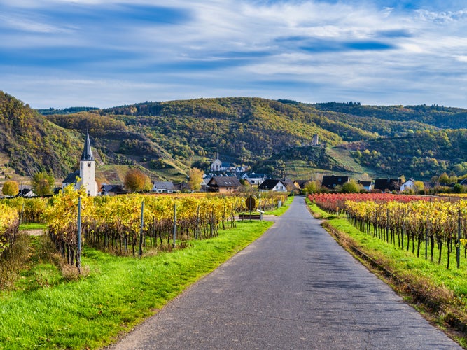 Photo of A road through bright color vineyards in Ellenz-Poltersdorf village and Beilstein village in the background in Cochem-Zell district, Germany