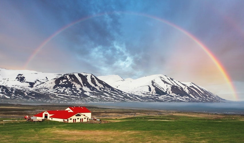 iceland-in-june 6.jpg