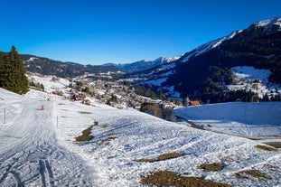 photo of village of Hirschegg in the Kleinwalsertal, Vorarlberg, Austria, with Gottesackerplateau in the background.