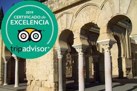 Visita guiada à Medina Azahara em espanhol sem Bus. Guias Oficiais