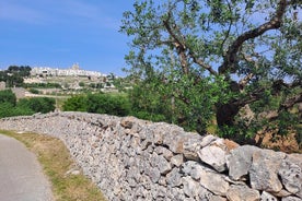 E Bike Tour in Locorotondo and Cisternino Italy