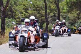 Trike Panorama Highlight Tour (2 kuster och 2 berg-1-3 personer)