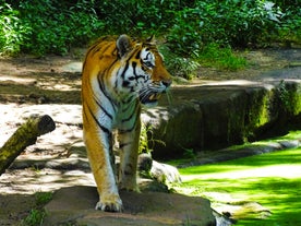 Augsburg Zoo