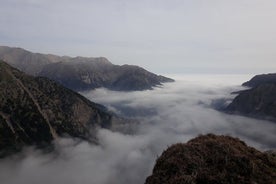 Montañas Blancas: safari semiprivado con degustaciones y almuerzo