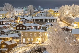 Tour PRIVATO VIP di Helsinki e Porvoo medievale