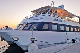 Pula: Dolphin Sunset Cruise to Brijuni with Dinner & Drinks