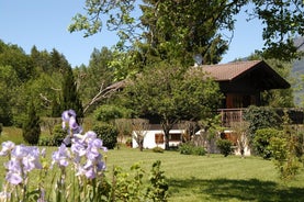 Le P'tit Chalet de la Fressine