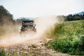 Albufeira: Torfæru Buggy Ævintýri