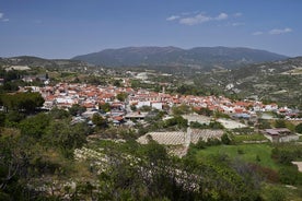 Le meilleur de Chypre depuis Aphrodite Hills Resort