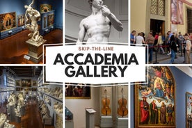 Geführte Tour durch Galleria dell‘Accademia und Keine-Warteschlangen-Tickets: Der David und Stradivari