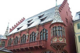 Freiburg im Breisgau Walking tour With A Professional Guide