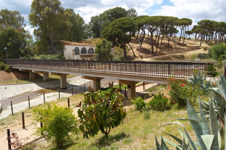 Spring in Park Moret, one of the largest urban parks in Andalusia is a treasure of 72.5 hectares forming the green lung of the city of Huelva, Spain