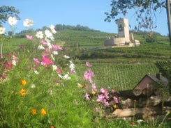 Gîte Et chambres D'hôtes Les Framboises