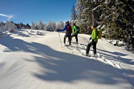 巴塞罗那比利牛斯山脉的雪鞋 - 私人旅游