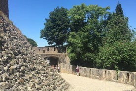 Templars Private Tour från Lissabon