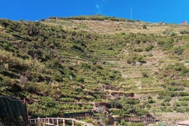 Cinque terre vintur og smaksprøver med somelieren i Manarola