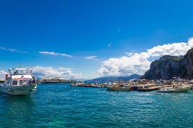 Pompeii, Vico Equense & Castellammare di Stabia에서 출발하는 카프리 투어