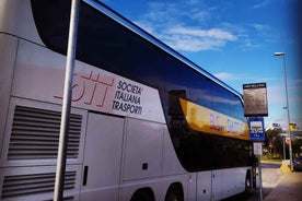 Civitavecchia: Transfer to Rome & Hop-on Hop-off Bus Ticket