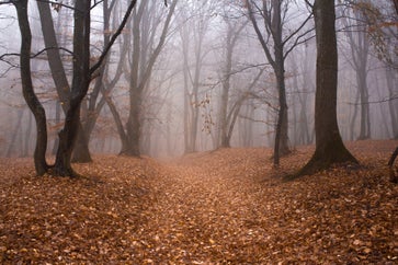 Top 13 Things To Do in Romania