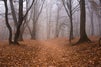 Top 13 Things To Do in Romania Featuring Eerie Places