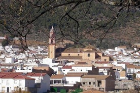 Tilbring en dag i de hvite landsbyene fra Cadiz