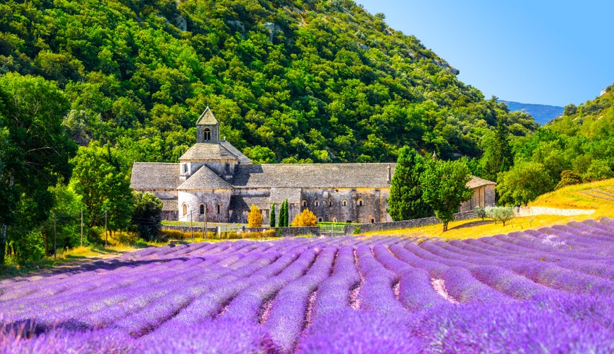 Senanque Abbey Gordes Provence.jpg