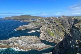 Yksityinen kiertue: Ring of Kerry Sneemistä ja Parknasillasta.