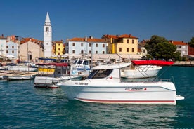 Istria: Private Boat Tour with Skipper