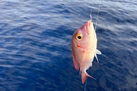 Expérience de pêche traditionnelle à Zakynthos