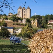 Petite maison en pierre au coeur du Périgord noir