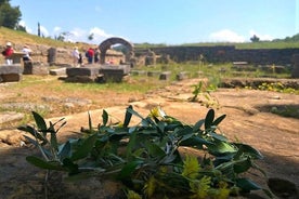 Excursión por la costa de Katákolo: antigua Olimpia, granja de miel y cata de aceite de oliva