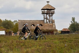 Paseo en bicicleta por Zasavica