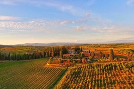 Arezzo: Degustazione di Vino in Val di Chiana