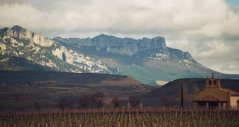 Vineyards of La Rioja Cycling