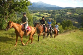 Passeio a cavalo privado no campo siciliano + almoço tradicional