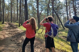 Promenade dans la nature et visite de la faune sur l'île de Sobieszewo