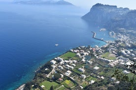 Privat ferð til Capri, Anacapri og Bláa hellisins