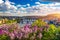 Photo of amazing spring cityscape, Vltava river and old city center with colorful lilac blooming in Letna park, Prague, Czechia.