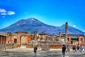 庞贝古城和维苏威火山导游陪同游览，含午餐和入场费